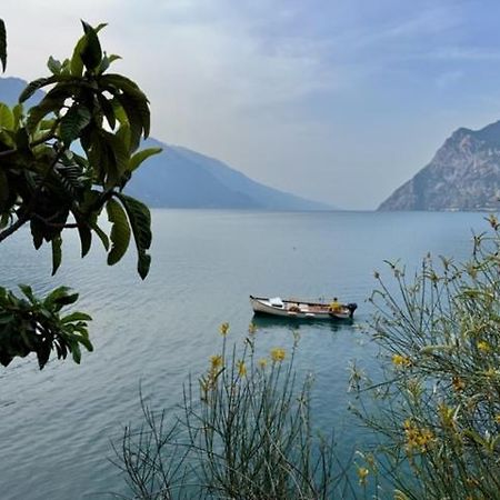 Gavazzo NuovaAlloggio Turistico Molu公寓 外观 照片