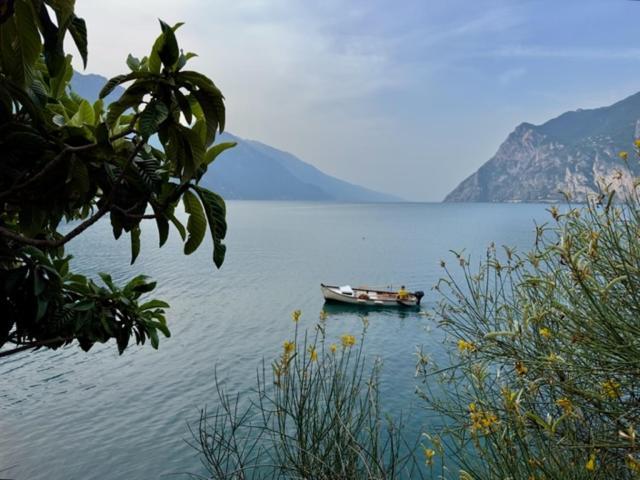 Gavazzo NuovaAlloggio Turistico Molu公寓 外观 照片