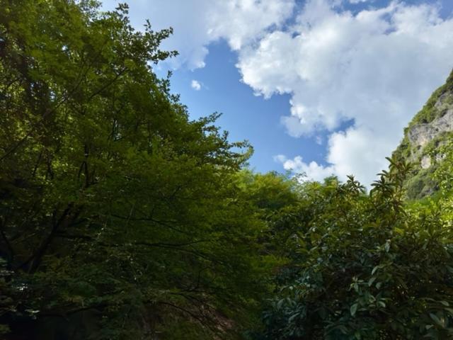 Gavazzo NuovaAlloggio Turistico Molu公寓 外观 照片